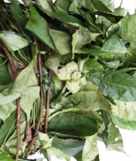 Vegetables: Ukazi / Afang leaves