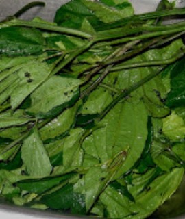 Vegetables: Ugu (Pumpkin leaves)